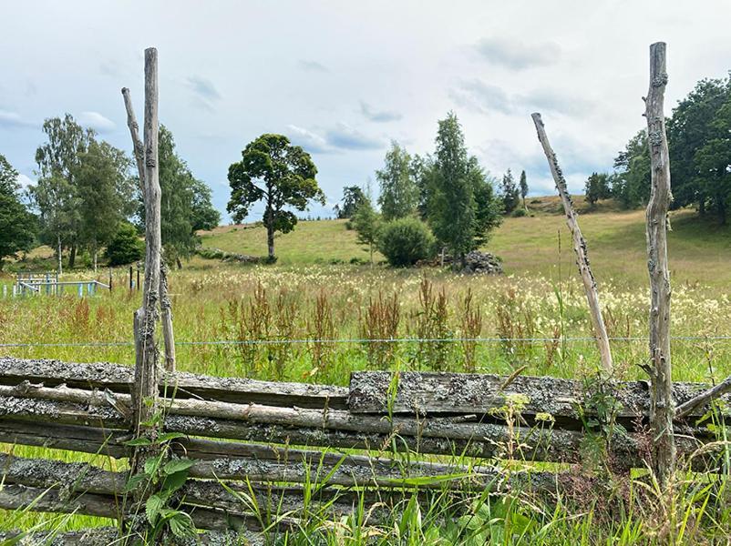 Vimmerby Stugby Exterior photo