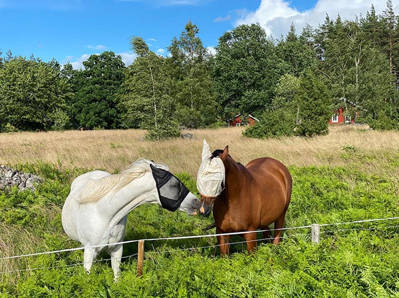 Vimmerby Stugby Exterior photo